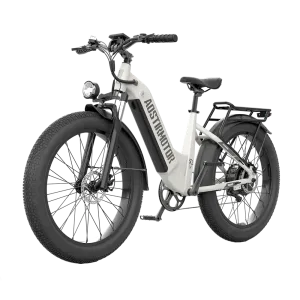 Aostirmotor 52V All-Terrain Electric Bike Queen | 1000W Brushless Motor | 52V 15Ah Lithium-Ion Battery | 330 lbs