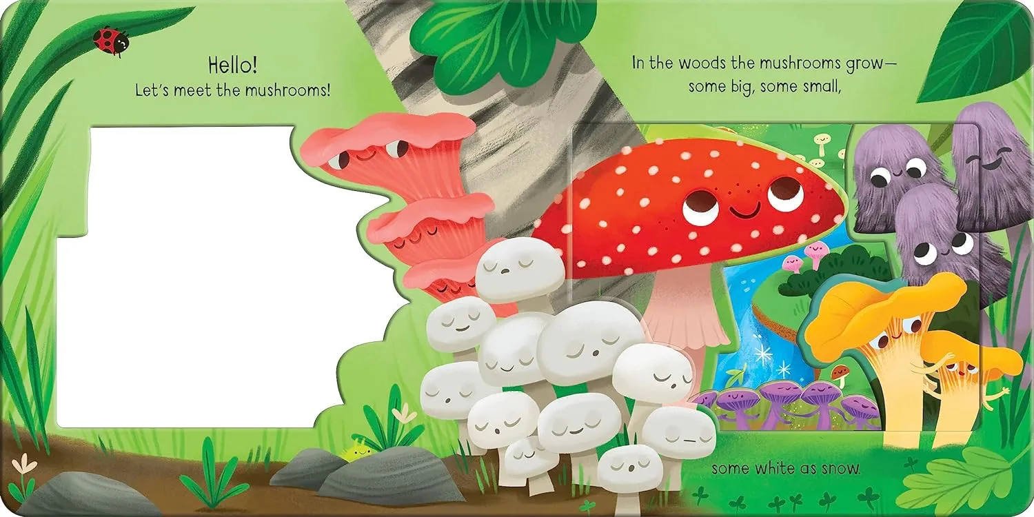 Meet The Mushrooms!